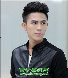 额头高男明星,揭秘额头高男明星的独特魅力