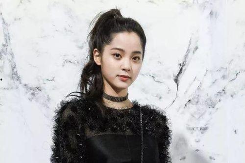 四小龙几线明星,娱乐圈风云录