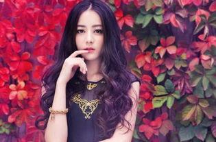 进去女明星,走进女明星的璀璨人生