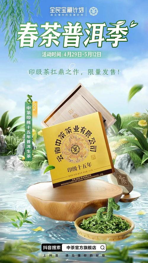 今日头条普洱春茶图片,普洱春茶新芽绽放