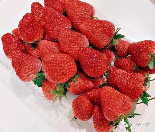 小草莓吃瓜爆料,娱乐圈最新猛料大揭秘