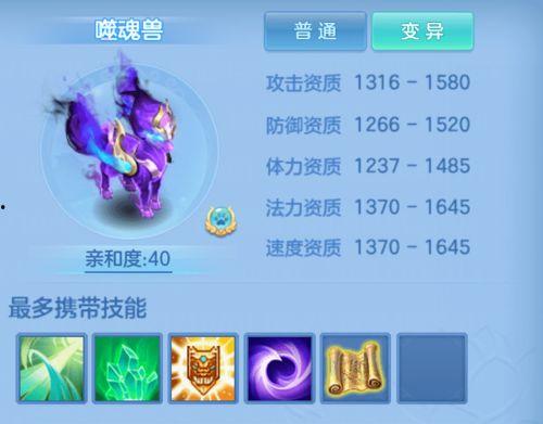 宠物强化爆料最新,神秘技能觉醒，宠物进化新篇章开启！