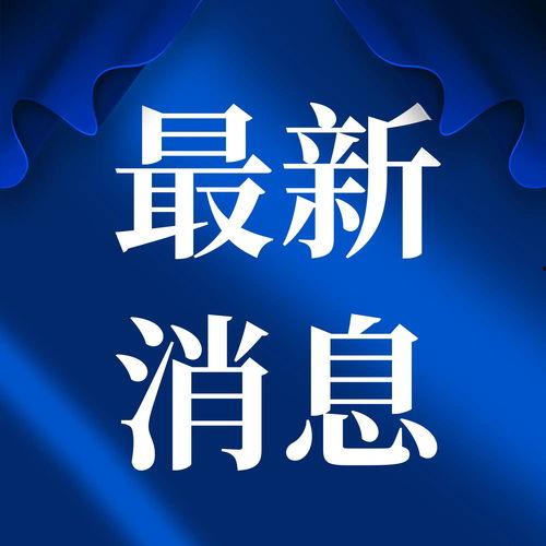 今日头条打卡成功案例,揭秘高效互动背后的秘诀