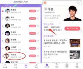 明星人气榜网站,盘点当下最受欢迎的璀璨星辉