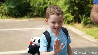 网红萌娃表情包男生,男生版萌态百出，网友直呼可爱到爆