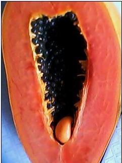 吃瓜内部通道,吃瓜内部通道带你探秘明星幕后生活