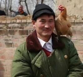 朱之文庆阳头条视频,朱之文倾情演绎，精彩瞬间尽收眼底