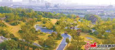 徐州金山东路新闻头条,多车连环相撞，交通受阻紧急救援