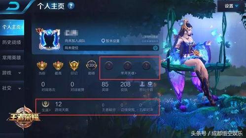 王者图文爆料怎么弄的视频,揭秘制作过程与技巧