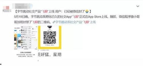 头条飞聊,打造全新社交体验，引领潮流的即时通讯神器