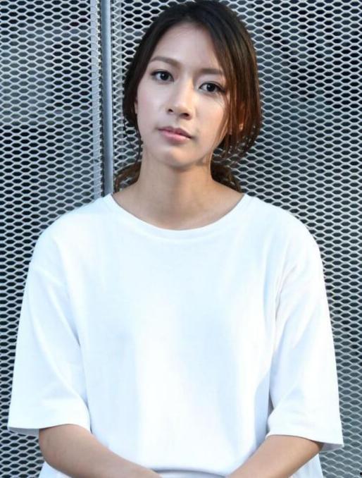 台湾明星陈,台湾影视界的璀璨星辰