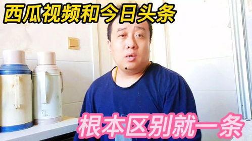 今日头条中视频计划要求,打造爆款视频计划攻略