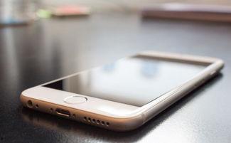 菏泽网红手机膜哪里买,热门店铺推荐