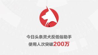 今日头条东城里的春天,东城里的美好时光掠影