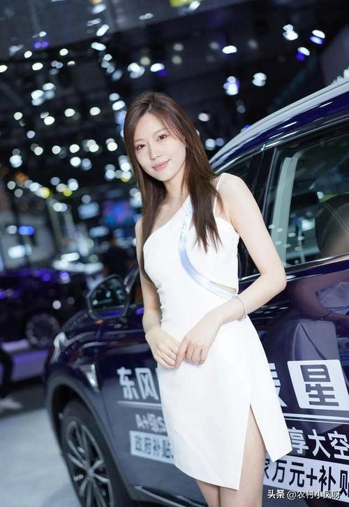 网红车模牛牛,车坛新宠，时尚与速度的完美融合