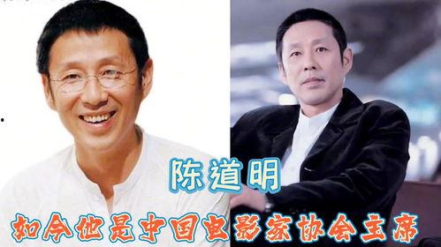 明星见到当官的,一场意外的邂逅与互动